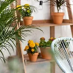 Artsy Retreat In The Heart Of Porto